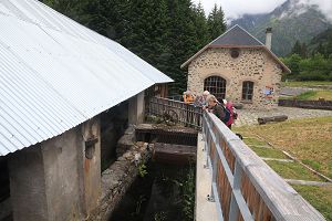 Y21_52788.jpg