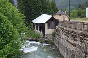 Y21_52793.jpg